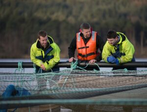 Workers on salmon farm in rural lake